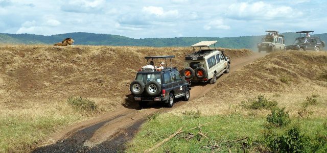 Kako da se pripremite za vaš prvi safari sa Zanzibara?